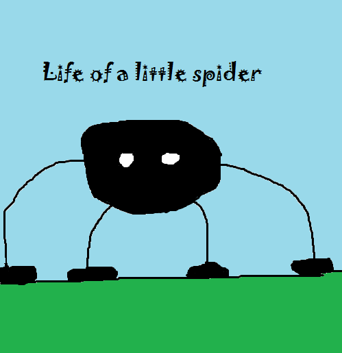 Life of a little spider